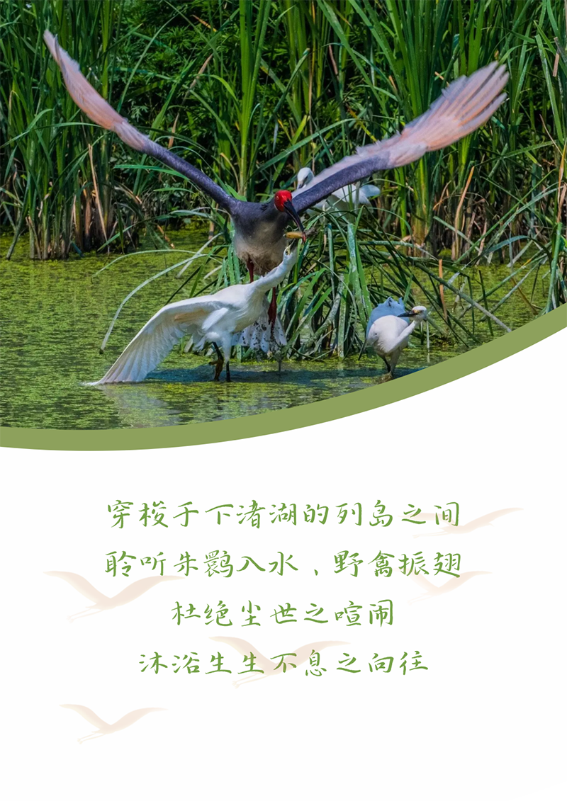 心心念廿 相伴jxf吉祥坊 | 与德清相约 贺廿载诞辰
